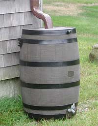Rain barrels provide an innovative way to capture rainwater from your roof, and store it for later use. 