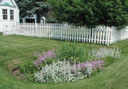 Rain gardens capture and slow down runoff.